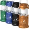 [4 Pack] LED Camping Lantern Flashlights – Hurricane Emergency Tent Light – Backpacking, Hiking, Fishing, & Outdoor Lighting Bug Out Bag Camping Equipment | Portable, Compact, & Water Resistant Gift
